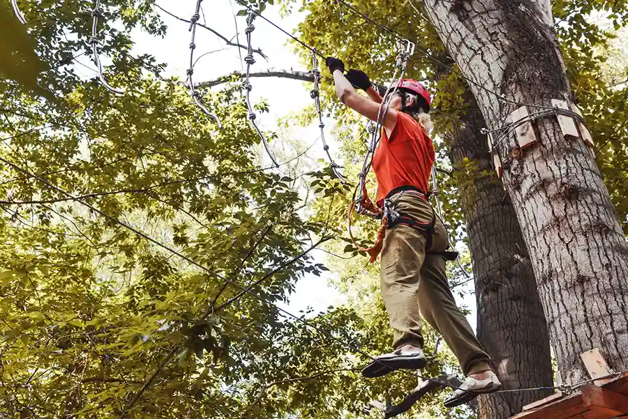What Are the Most Common Mistakes Homeowners Make During Tree Trimming?