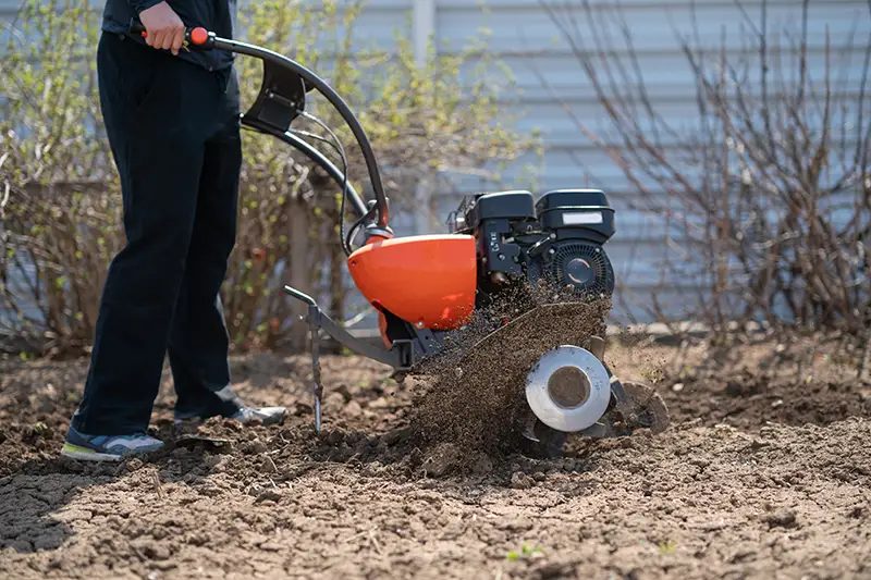 What Happens if a Stump Grinder Hits a Buried Water Line or Gas Pipe?