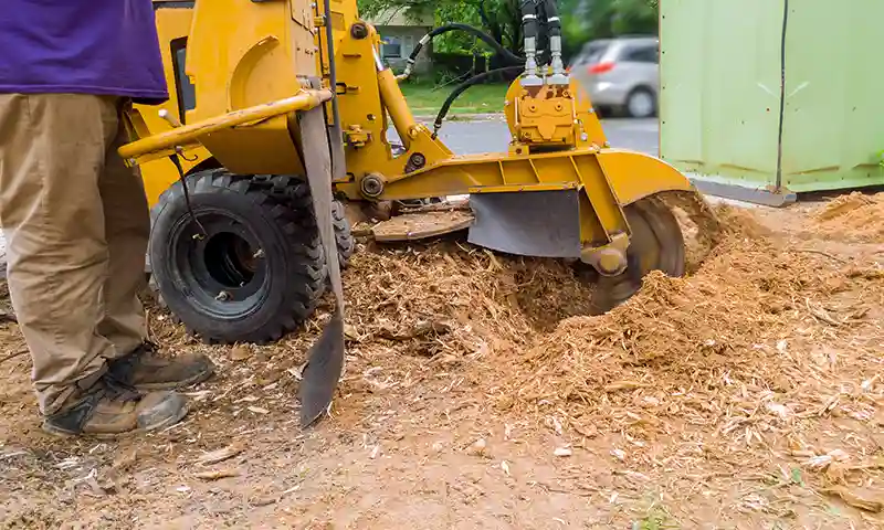 How Do You Manage Stump Grinding Around Delicate Decorative Pavers?